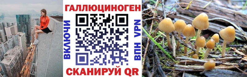 Псилоцибиновые грибы GOLDEN TEACHER  Горячеводский 